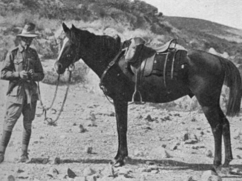 ‘Bill the Bastard’ and Major Michael Shanahan. Photo: Australian War Memorial.