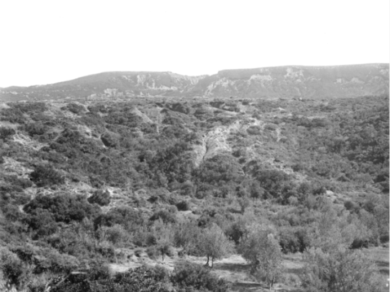 Looking north to Hill 971 from a ridge 100 yards north of Hill 100. The head of Kaiajik Dere is in the foreground showing the extremely rough country the 4th Australian Infantry Brigade had to cross in the attack on Hill 971 on 7 August 1915. One of a series of photographs taken on the Gallipoli Peninsula under the direction of Captain C E W Bean of The Australian Historical Mission, during the months of February and March, 1919.