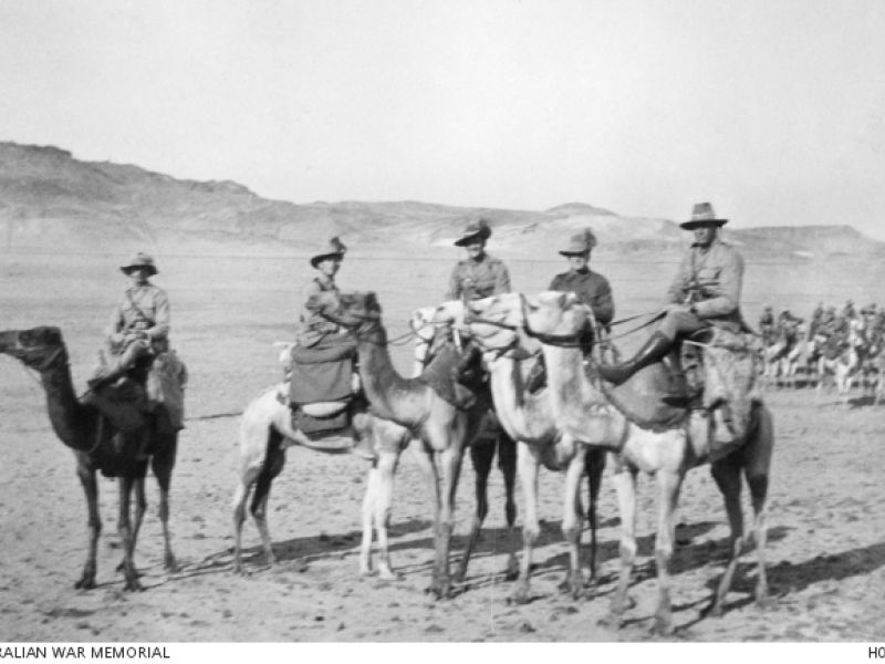 4th ANZAC Camel Battalion AWM H05695