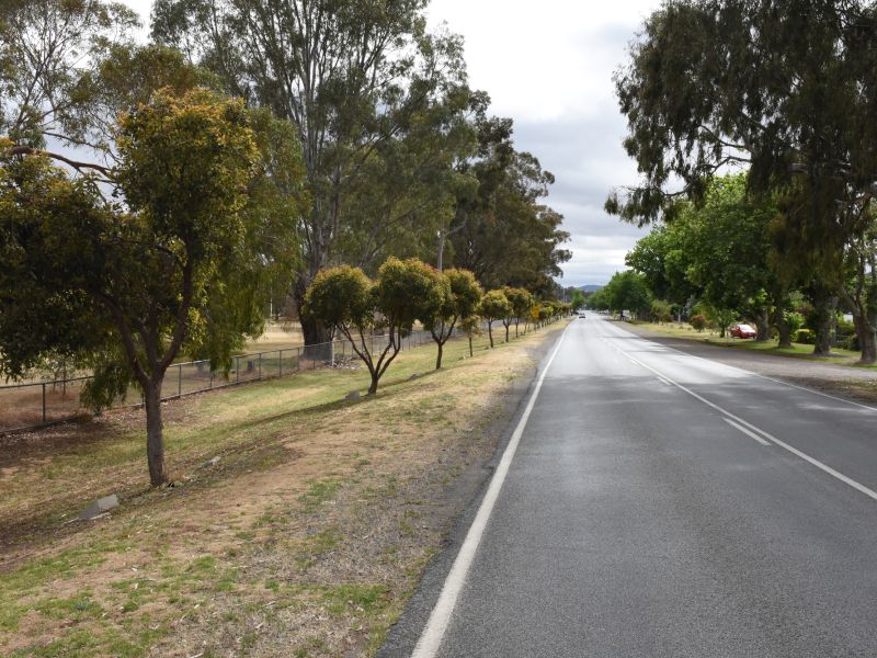 Euroa Avenue of Honour to the Fallen