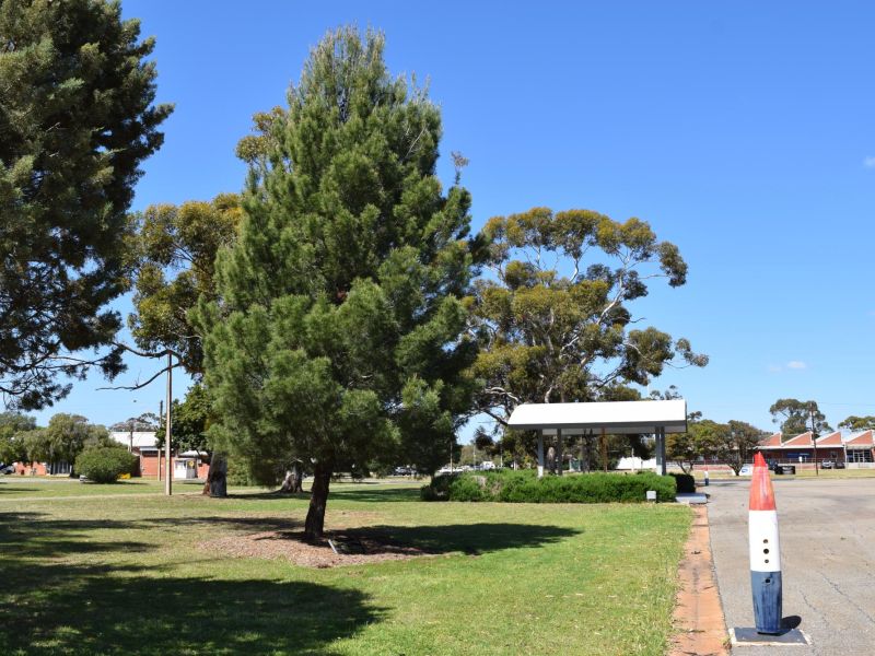 RAAF Base Edinburgh Lone Pine Memorial Tree