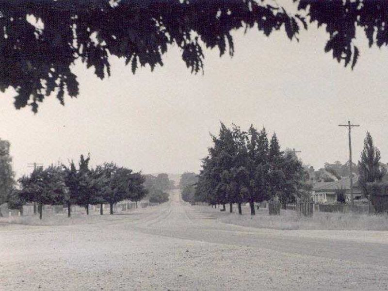 Seymour Avenue of Honour