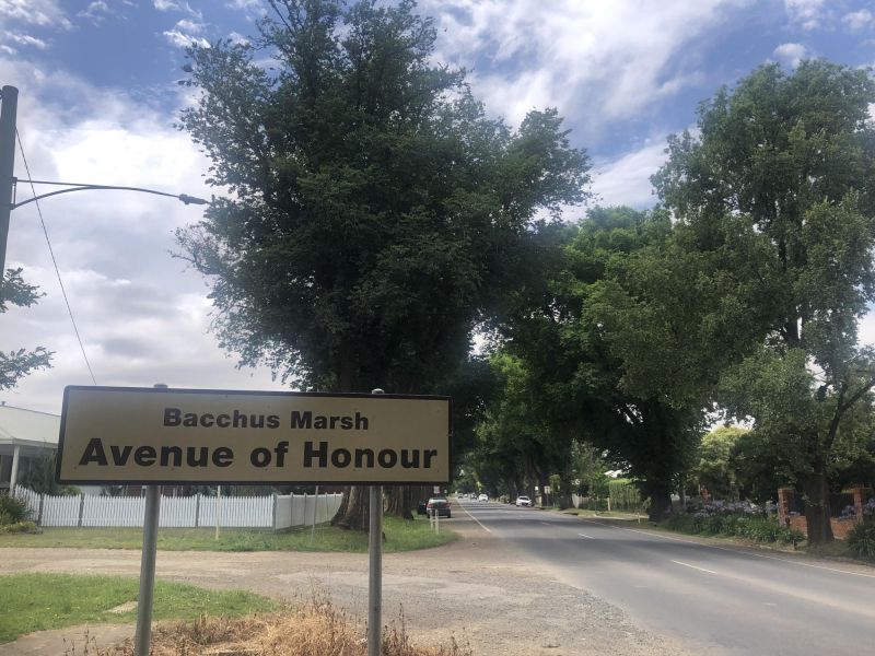 Western end of the Avenue of Honour (closest to town)