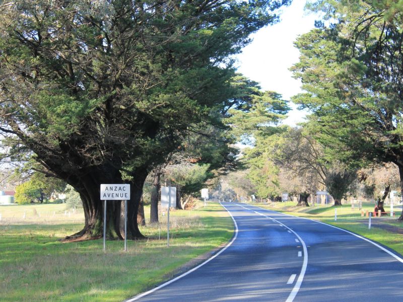 Moonambel Avenue of Honour