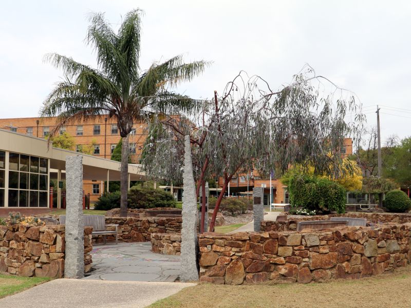 Overall View