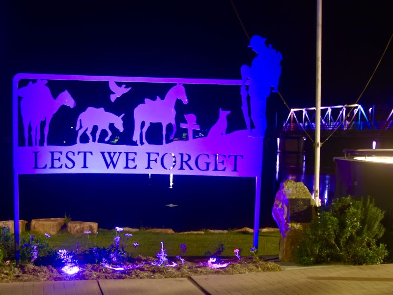 The War Animals memorial next to the main War Memorial, lit up at night in purple for remembrance of War Animal service.