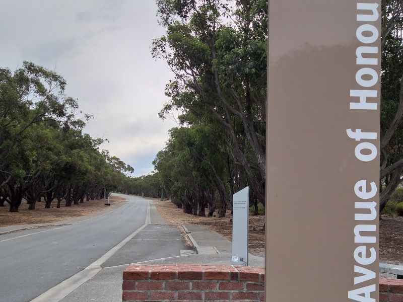 Albany Avenue of Honour