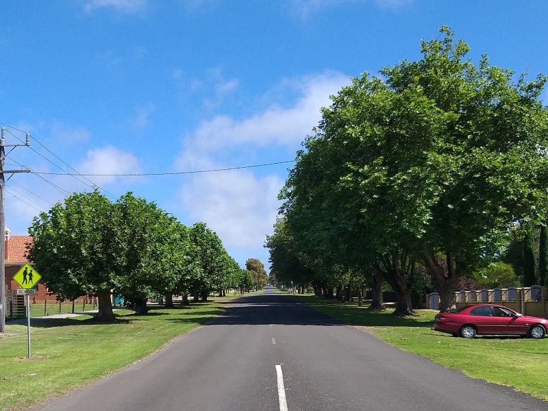 Koroit Avenue of Honour