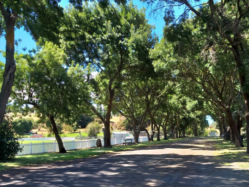 Byaduk Avenue of Honour