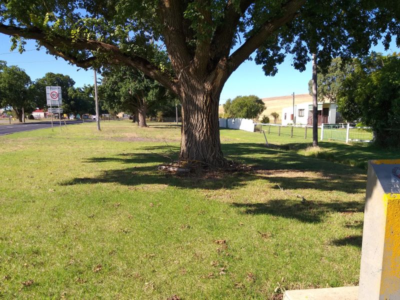 Casterton Avenue of Remembrance