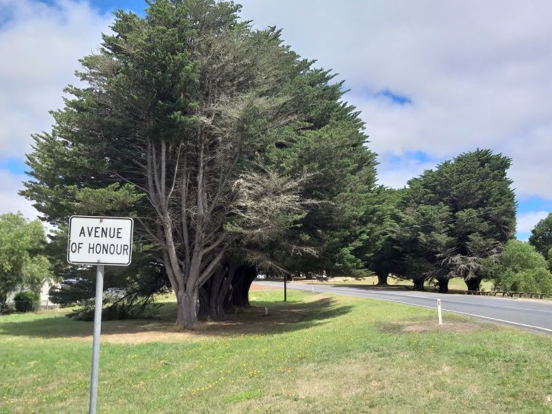 Avenue of Honour