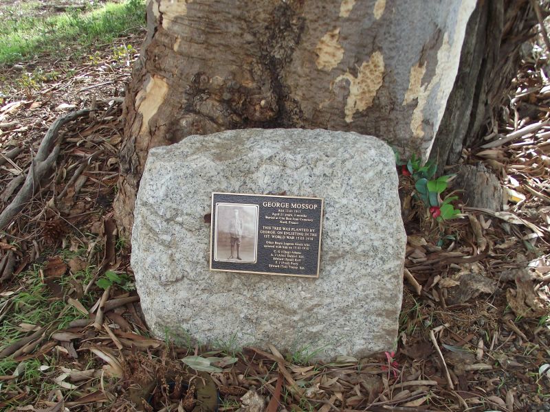 plaque on rock at base of tree