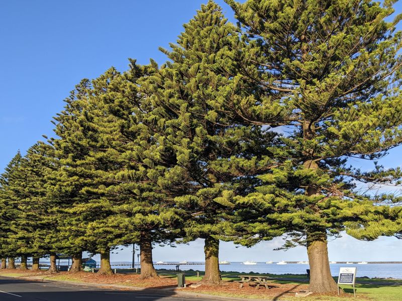 Port MacDonnell Memorial Walk