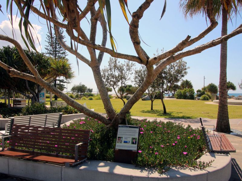 Rowan Robinson Park Kingscliff Foreshore