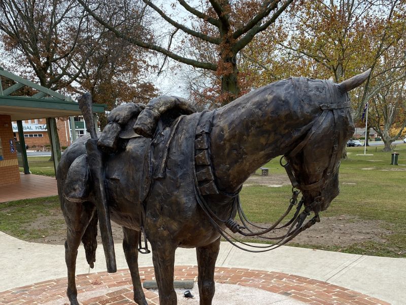 Sandy the War Horse