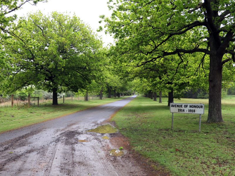 Linton Avenue of Honour