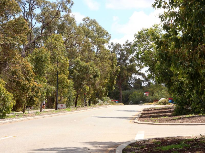 May Drive Honour Avenue Memorial Trees and Plaques