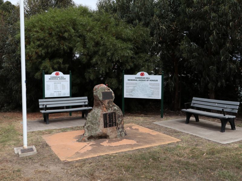 Cambrian Hill AOH memorial plaques and boards