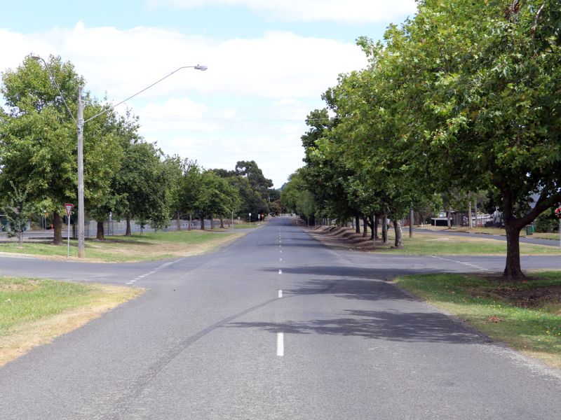 Melbourne Road Avenue of Honour - View 2