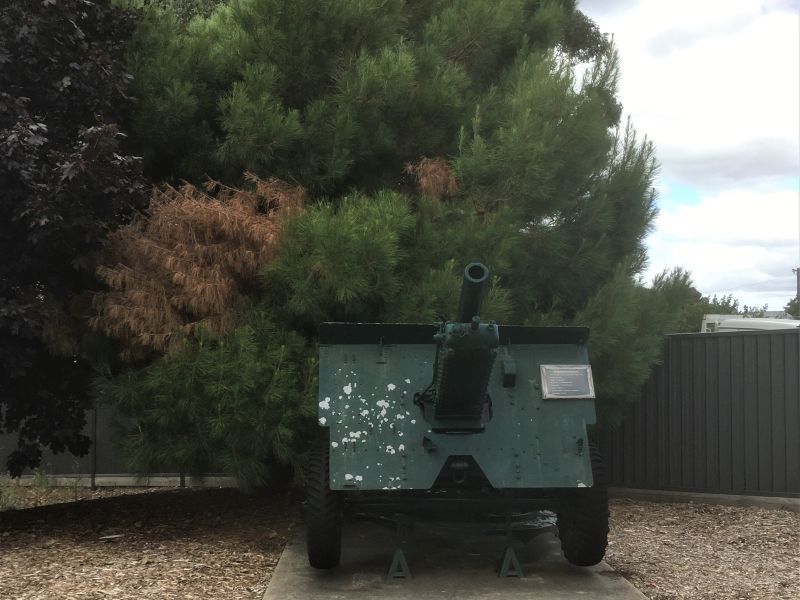 Lone Pine Tree & Plaque