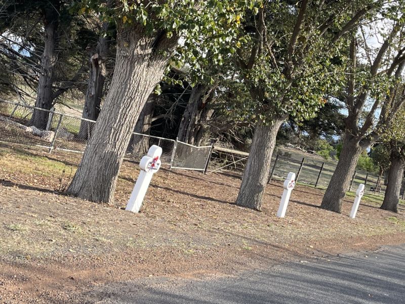 Avenue of 21 crosses honouring 27 Veterans of WW1