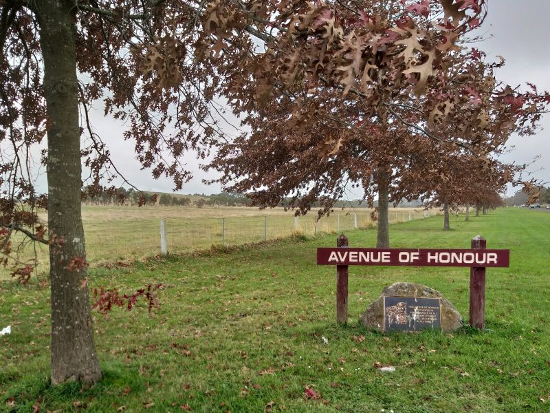 Kyneton Avenue of Honour