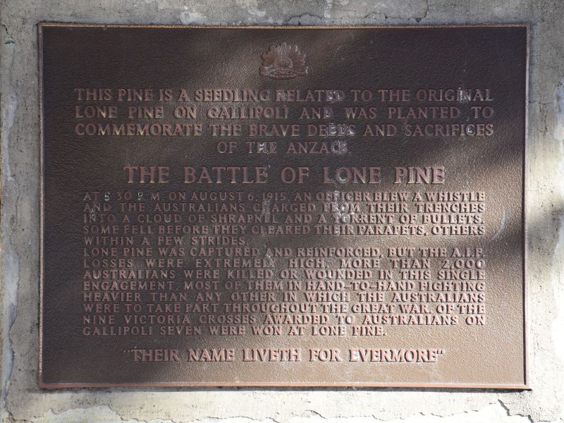 Dedication plaque with the story of the Lone Pine
