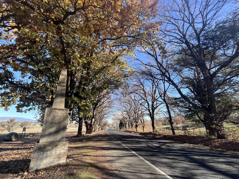 The Avenue of Honour, near the Hume and Hovel monument