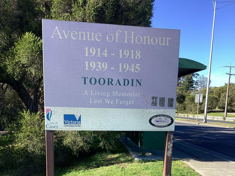 Tooradin Avenue of Honour