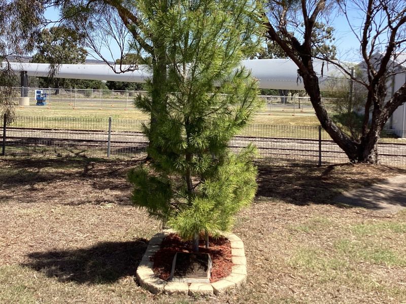 Bell RSL Lone Pine