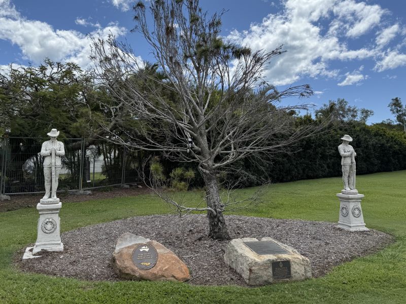 The Lone Pine Commemorative Tree