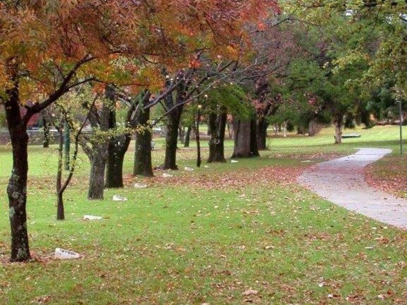 Kalamunda Stirk Park Memorial Walk Relocated Honour Avenue