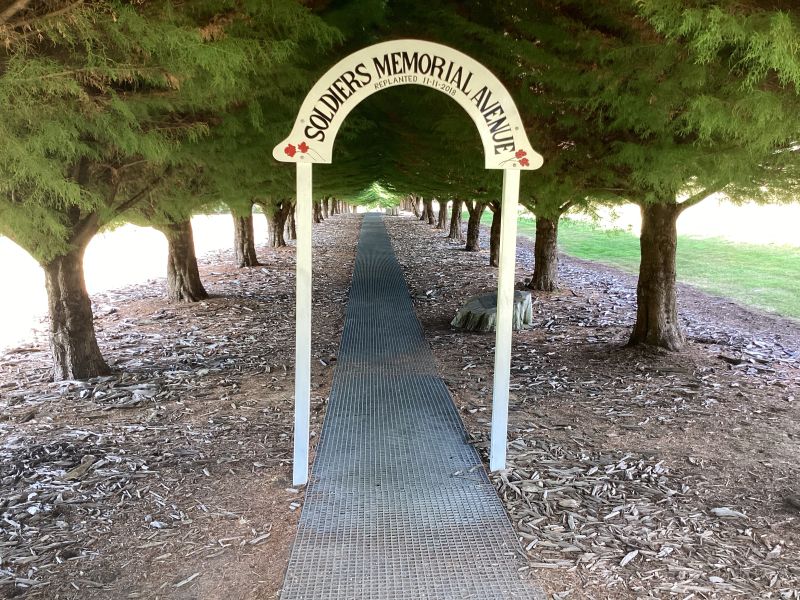 Soldier's Memorial Avenue
