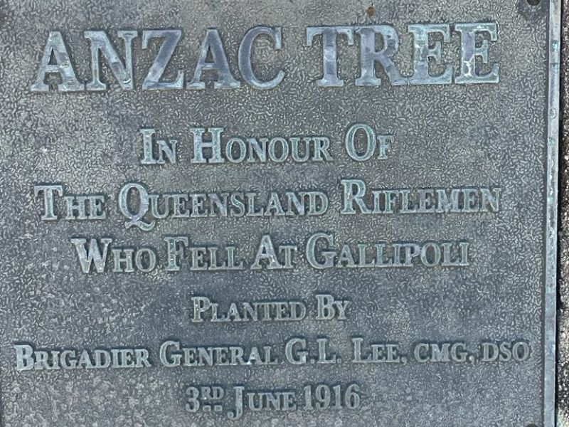 Planted 3rd June 1916