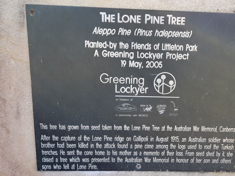 Lone Pine plaque (07/06/2025)