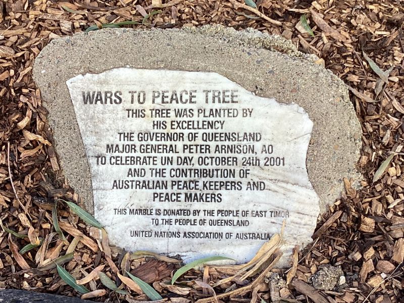 Wars To Peace Tree Plaque