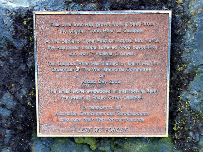 Tea Gardens World War I Lone Pine Memorial Tree Interpretative Plaque
