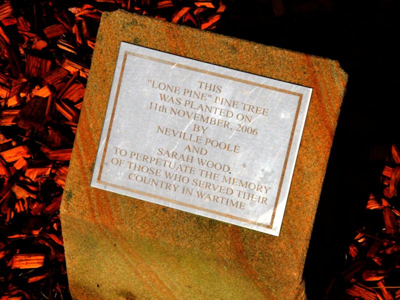 Raymond Terrace War Lone Pine Dedication Plaque Located in Anzac Park