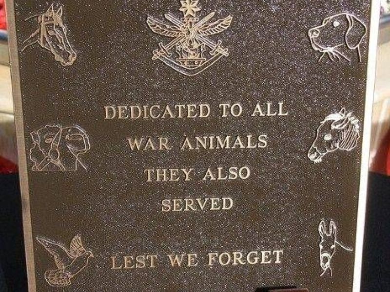 war animal