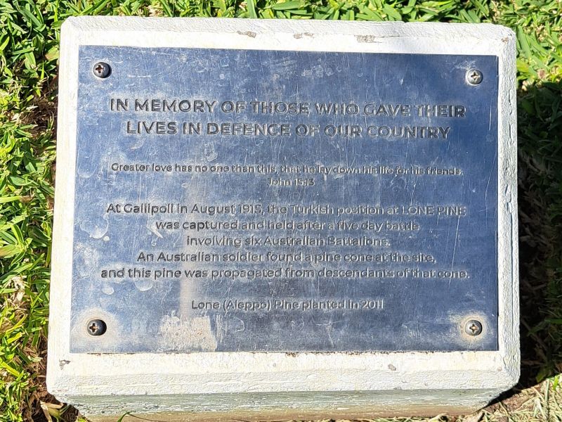 Redlands College Lone Pine Memorial #2