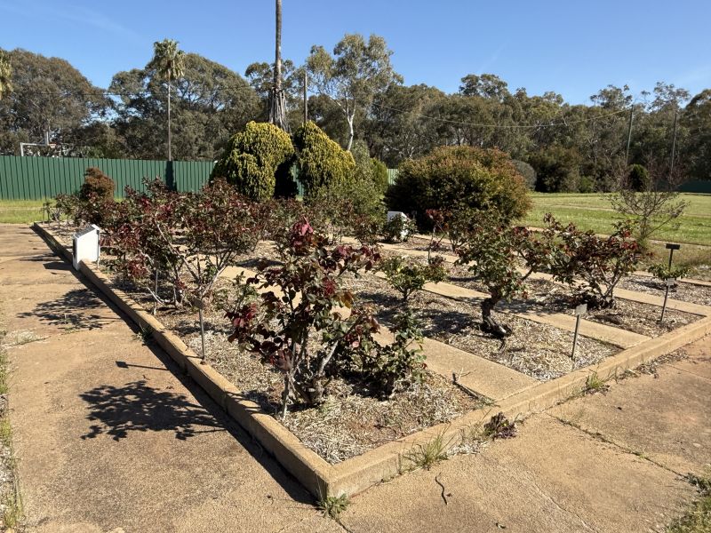 Rose Garden