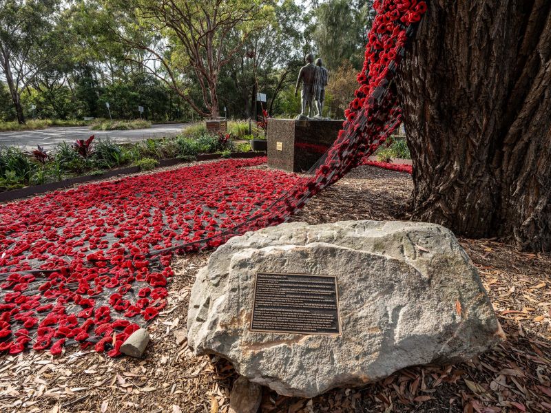 Kingsbury Garden view