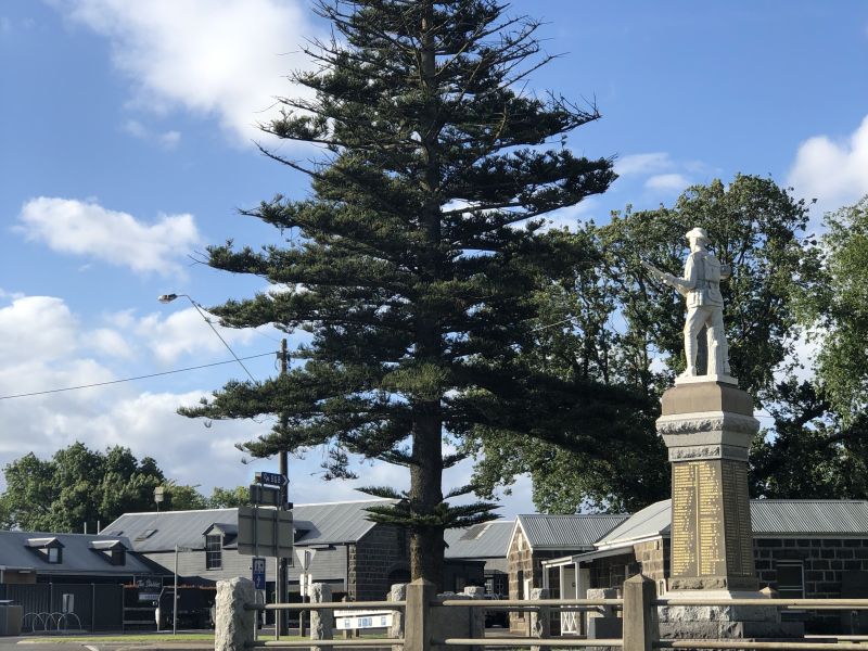 Mortlake Peace Tree