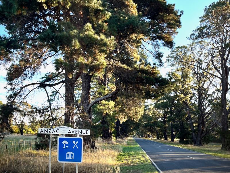 Amphitheatre Anzac Avenue in the late afternoon