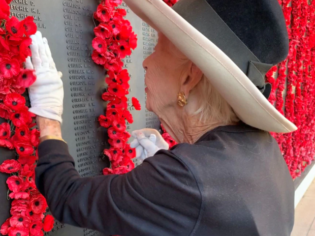 Alison Aitken returns to the Australian War Memorial every year on Anzac Day, to mourn her brother who died in World War II (ABC News: Craig Allen)