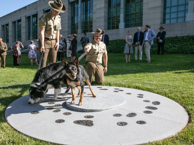 Dog with 2 soldiers at unveiling ceremony of new sculpture