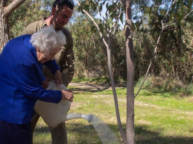 Kings Park Honour Avenues are still growing strong