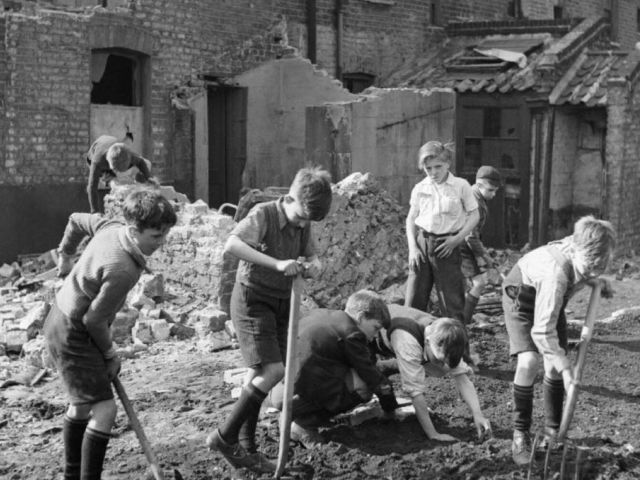 Beans: Boys clear prepare the ground to plant beans on a bomb site in London in 1942. Picture: Imperial War Museum