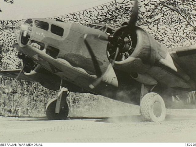 Lockheed Hudson Light Bomber A15-172 moves from under camouflage netting to take off on a bombing mission against Japanese bases in the South-West Pacific area. Courtesy of Australian War Memorial 150229. 