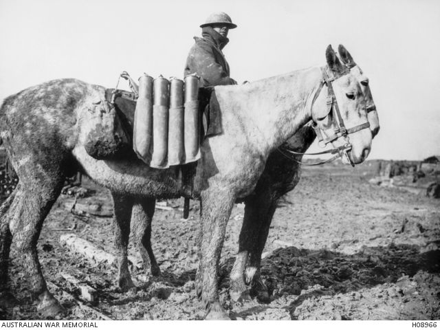 Two mules carrying field gun ammunition across muddy country unsuitable for normal transport. 